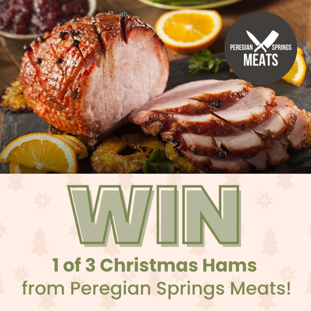 PSSC - BTM - Christmas Social Tile